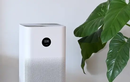 Ionizer System services